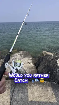 Would you rather 