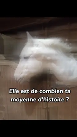 Moyenne 
