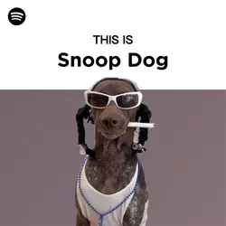 This Is Spotify Meme
