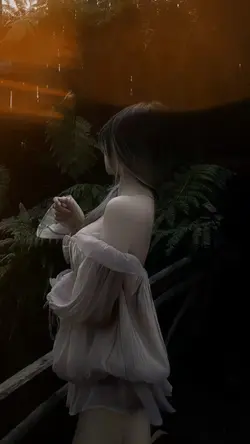 Trình Chiếu 