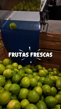 HORTIFRUTI