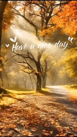 Have a nice day