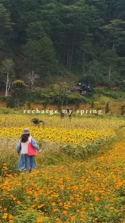 recharge my spring