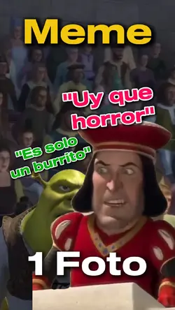 Shrek meme burrito
