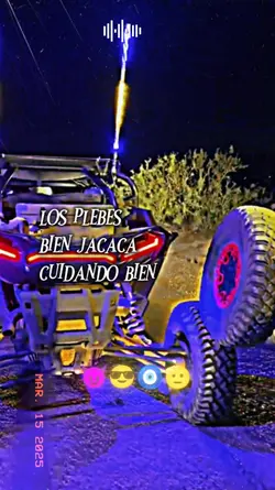 los rayzer
