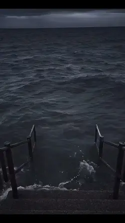 よく見る海のやつ！