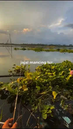 Story Mancing