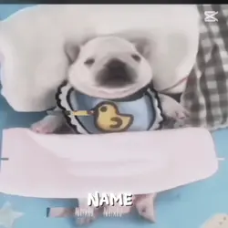 WASH MA BELLY!