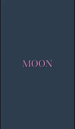 love you to the moon