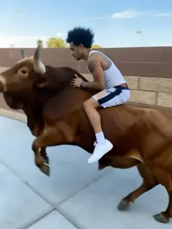 Riding a bull
