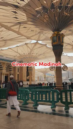 Qolby Fil Madinah