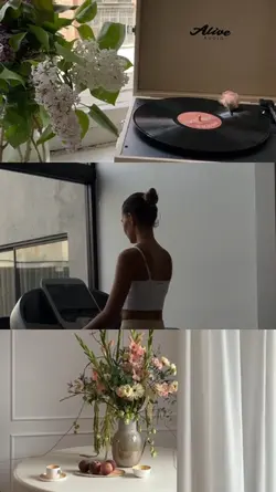 3 grid videos
