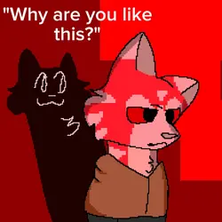 I'm just stupid 