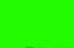 Name
