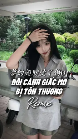 梦的翅膀受了伤DJ