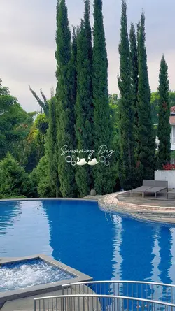Swimming 4 Videos