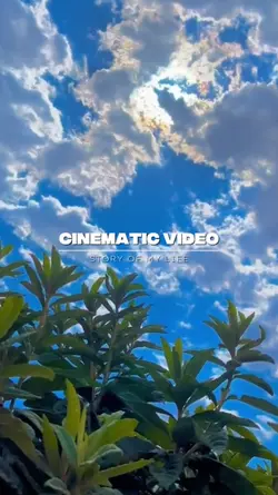 Cinematic video