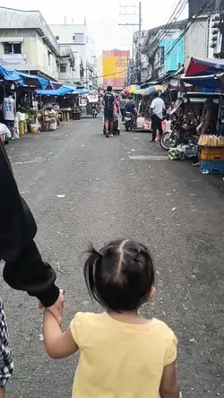 Content Creator 
