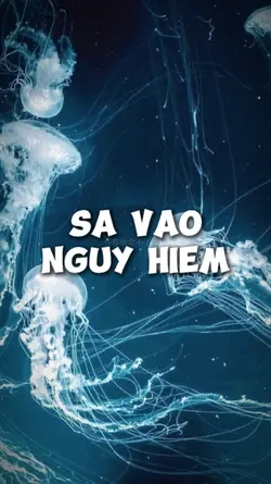 2 ẢNH