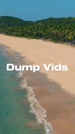 Cinematic Dump