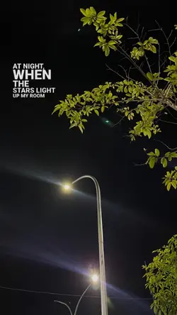 talking too the moon