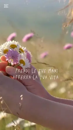 Ama la tua vita