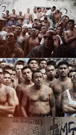 foto bergeser