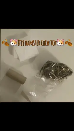 DIY HAMSTER CHEW TOY