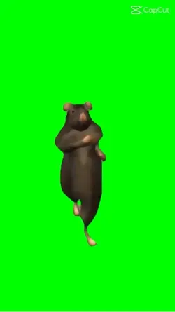 🐀 dance green screen