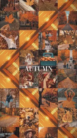 Last Leaves of Autum