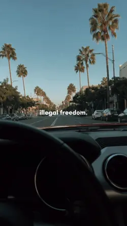 illegal freedom
