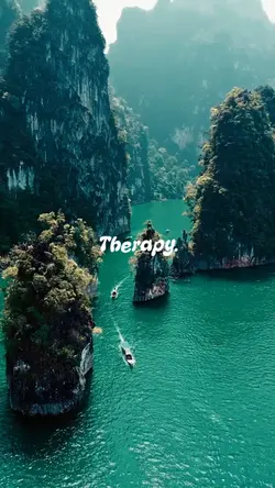 Therapy