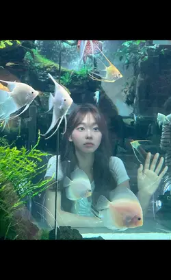 그냥 그때 돌아서지 말껄