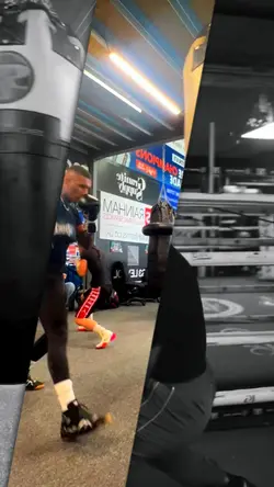 Boxing Template