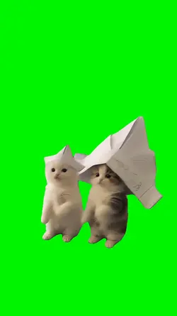 67 Kittens
