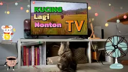 Kucing Lg Nonton TV