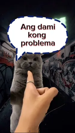 AngDamikongProblem