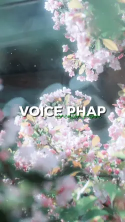 2 ảnh