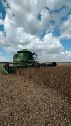DYNAMIC AGRO