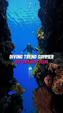 Diving Trend Summer