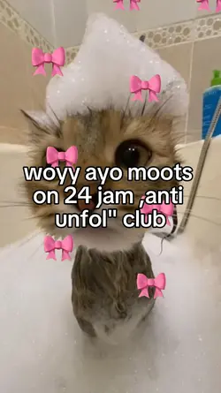 moots 