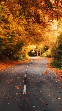 Fall