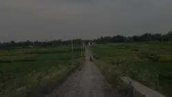Melankolis Story