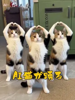 AI猫が踴る