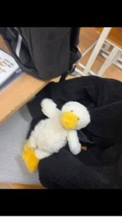 내맘은 위웅위웅