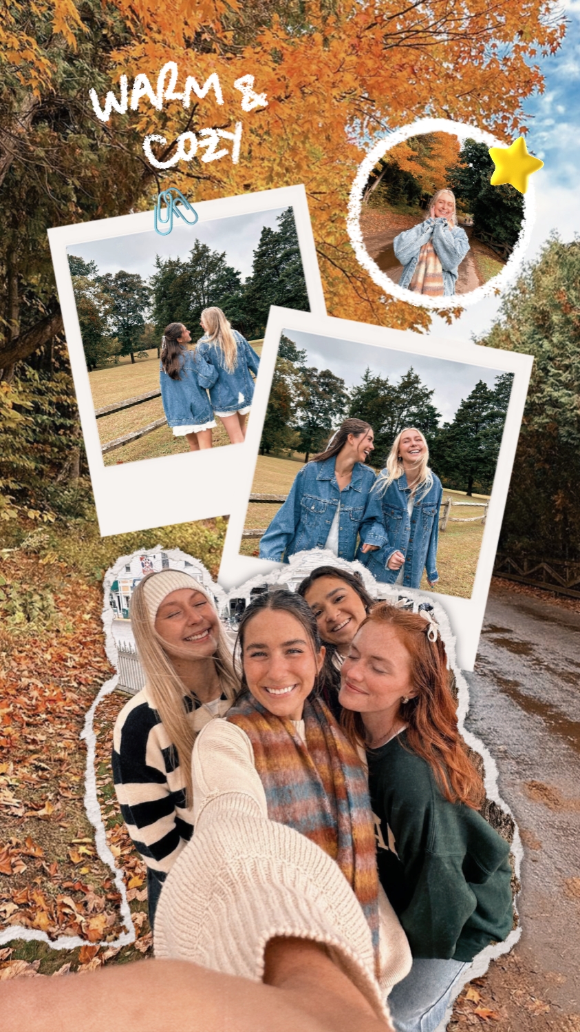 Warm Cozy Presets - Pippit