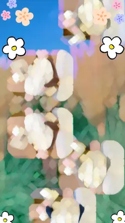 3รูป สวยๆ