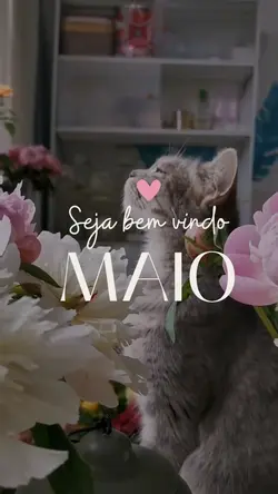 Bem vindo maio