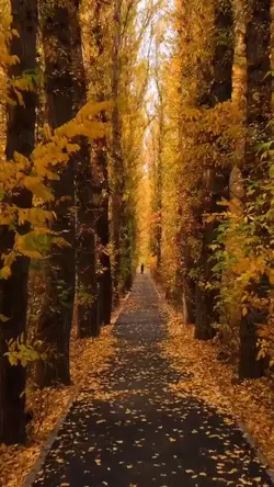 Mini Vlog