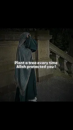 plant a tree !!!